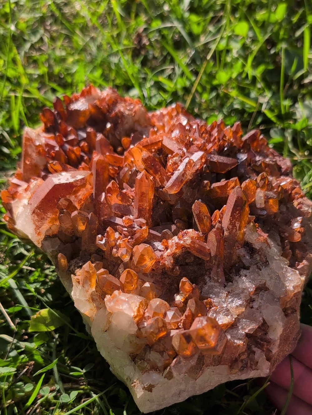 Tangerine Quartz Statement Piece (the red spruce) Treat Yourself Right